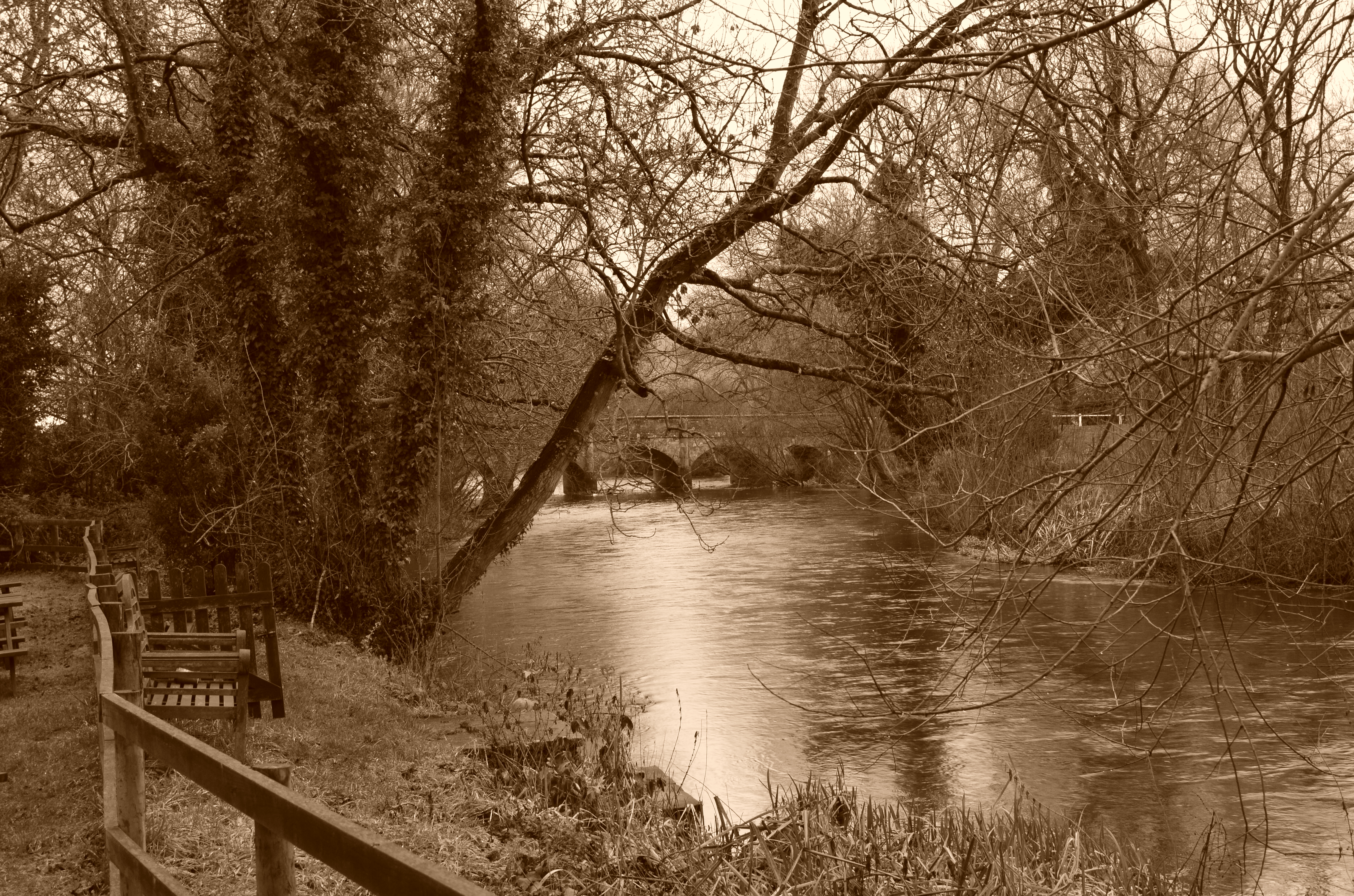 ./2018/15 - London/04 - Day 4/CSC_0559.JPG